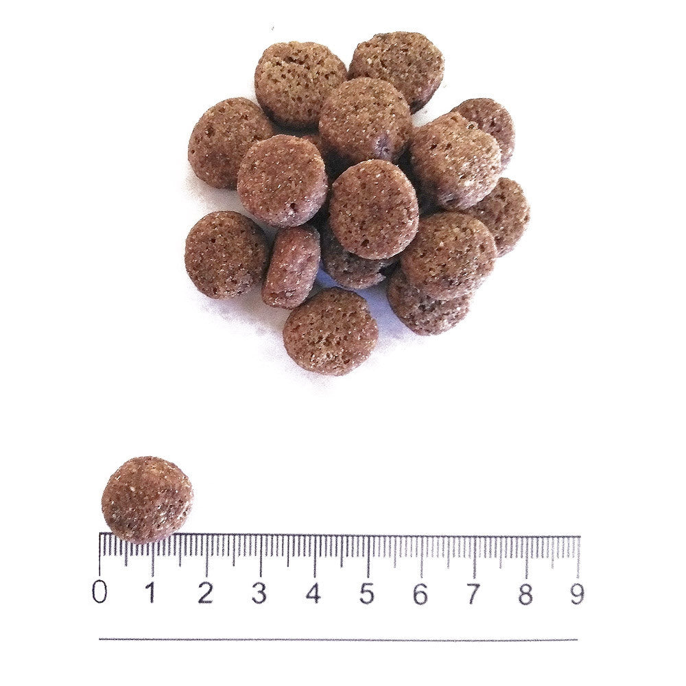 Prolife Dual Fresh - Crocchette per cani adulti di taglia media e grande - Tacchino e Maiale freschi, riso - 2,5kg