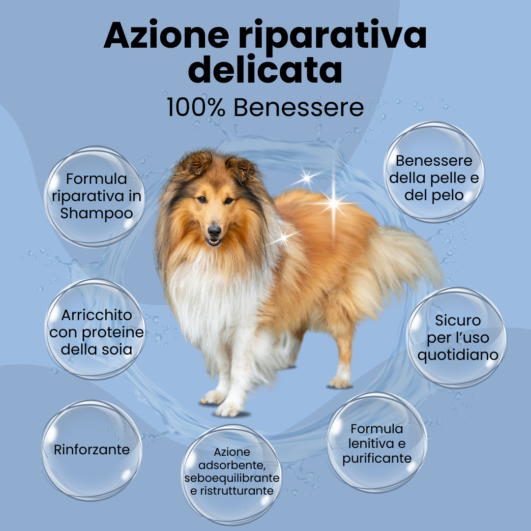 Camon Natural - Shampoo all'Argilla verde - 200ml