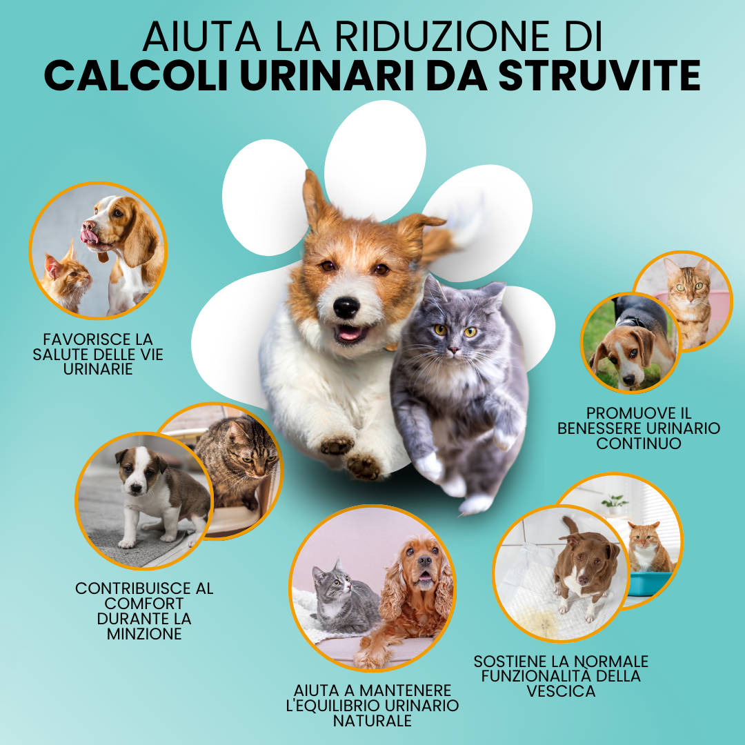 Camon Natural - Struvipet Pasta - 100g