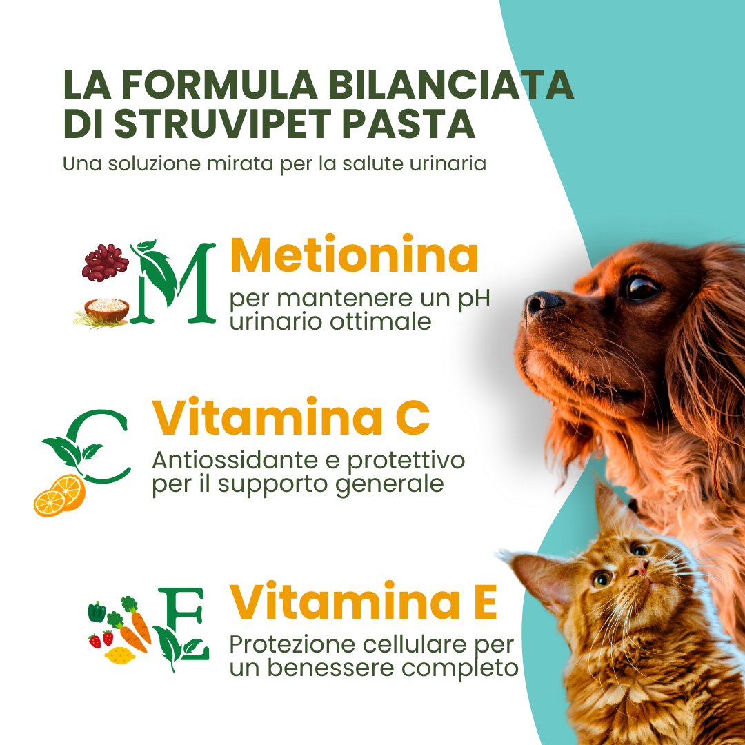 Camon Natural - Struvipet Pasta - 100g