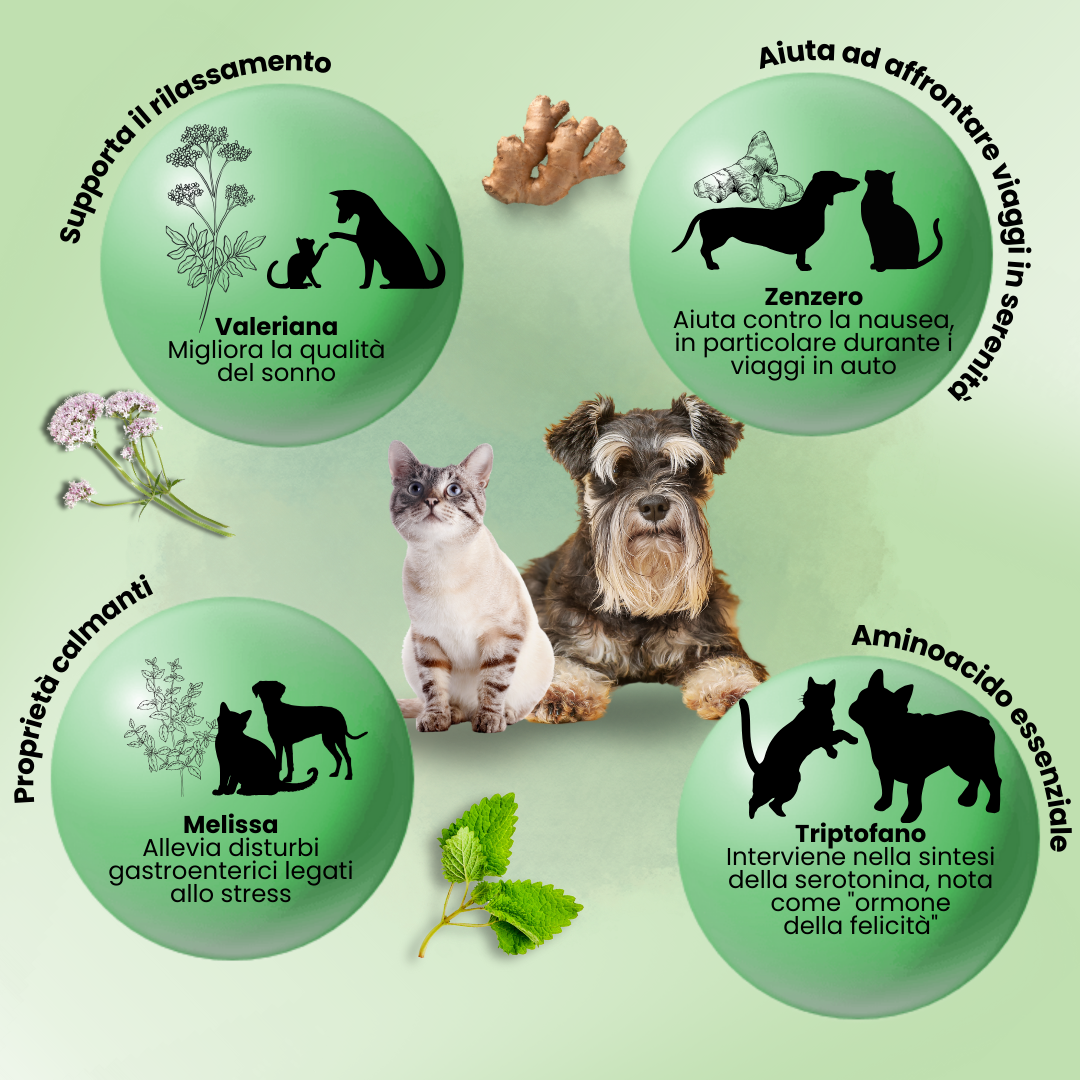 Camon Natural - Orme Naturali -Compresse ÆquilibriAVet - 60 compresse