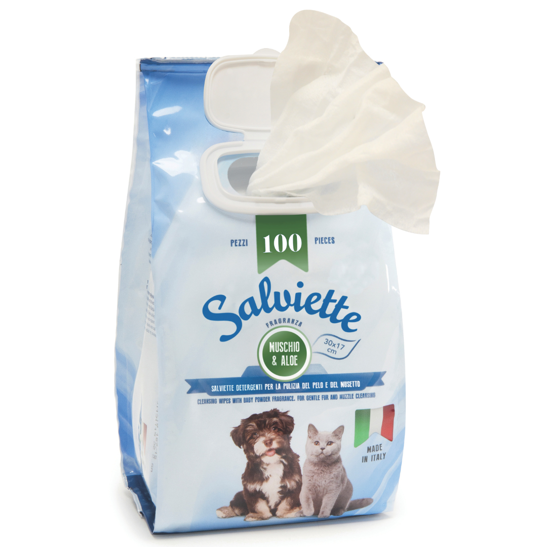 Camon - Salviette al profumo di Muschio e Aloe - 100 pezzi