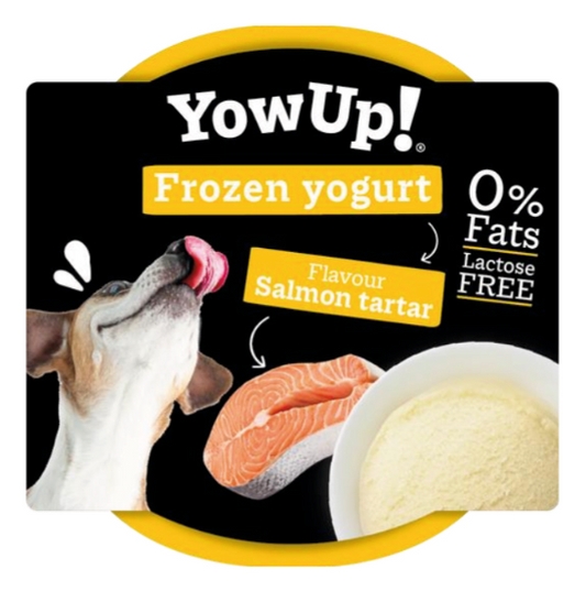 Yowup - Frozen Yogurt GELATO al gusto di Salmone - 110gr