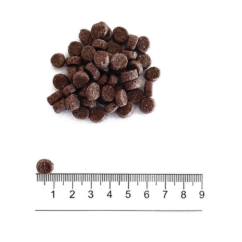 Prolife Dual Fresh - Crocchette per cani adulti di taglia piccola - Bufalo e Agnello freschi, riso - 600gr