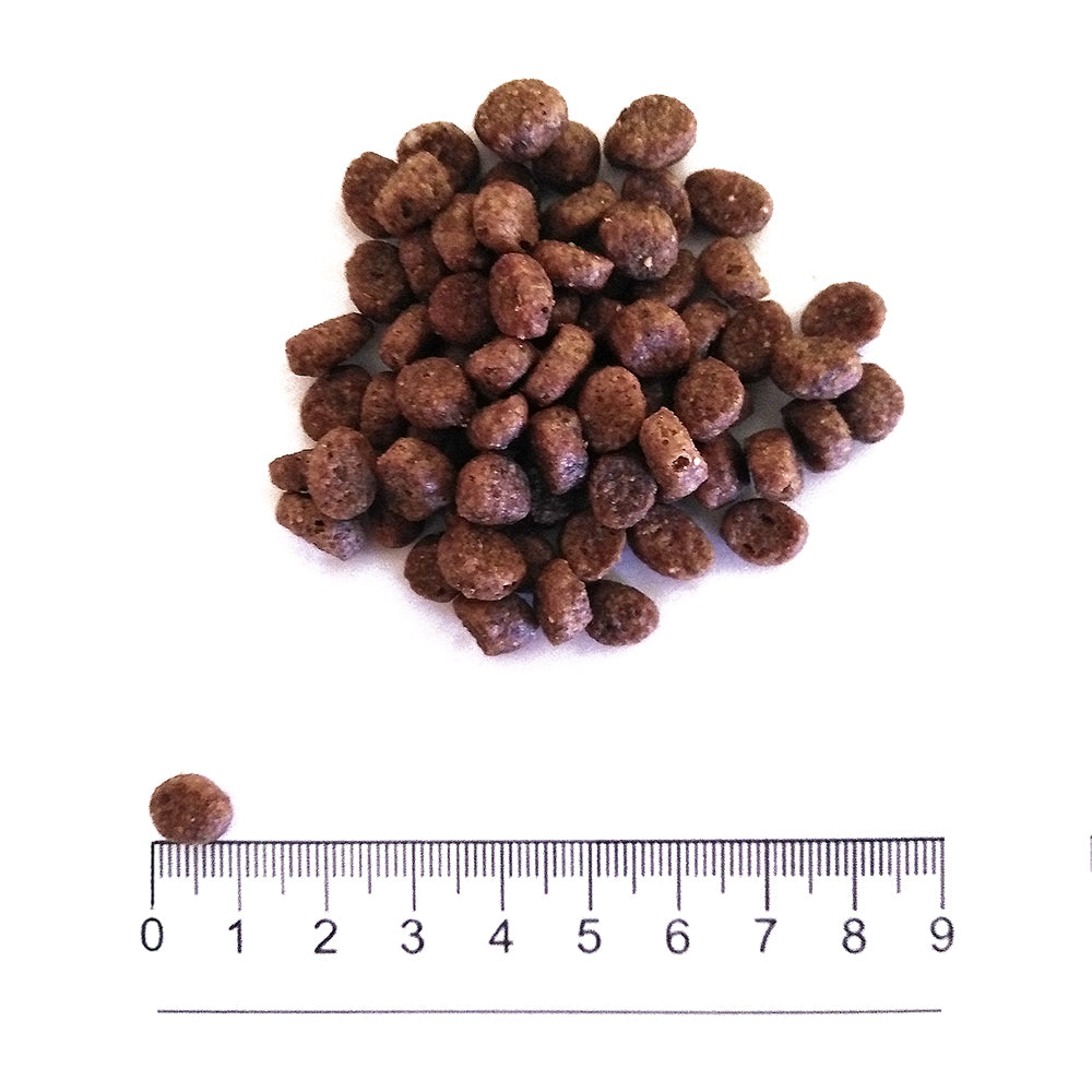 Prolife Smart Adult - Crocchette per cani adulti di taglia piccola - Trota fresca e riso - 2kg