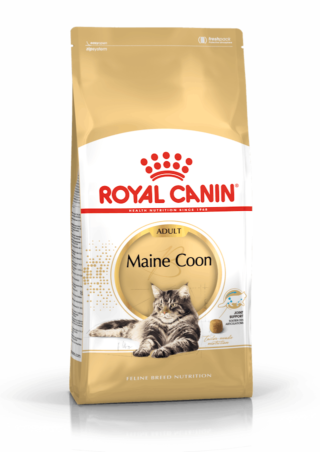 Royal Canin - Crocchette per gatti Maine Coon adulti - 2kg