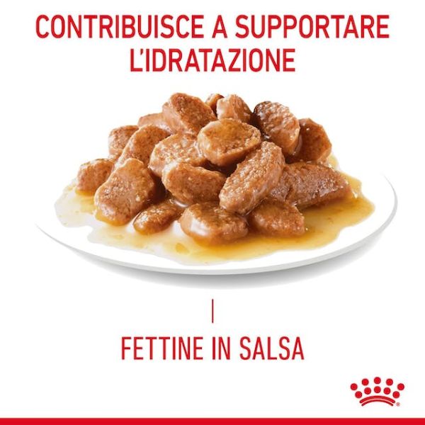 Royal Canin Hair&skin GRAVY BST 85gr