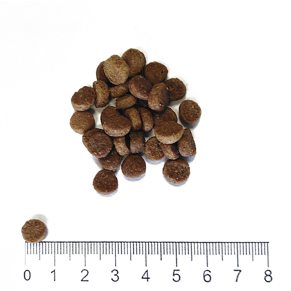 Prolife Life Style Kitten - Crocchette per gattini da 1 a 12 mesi - Pollo fresco e riso - 400gr