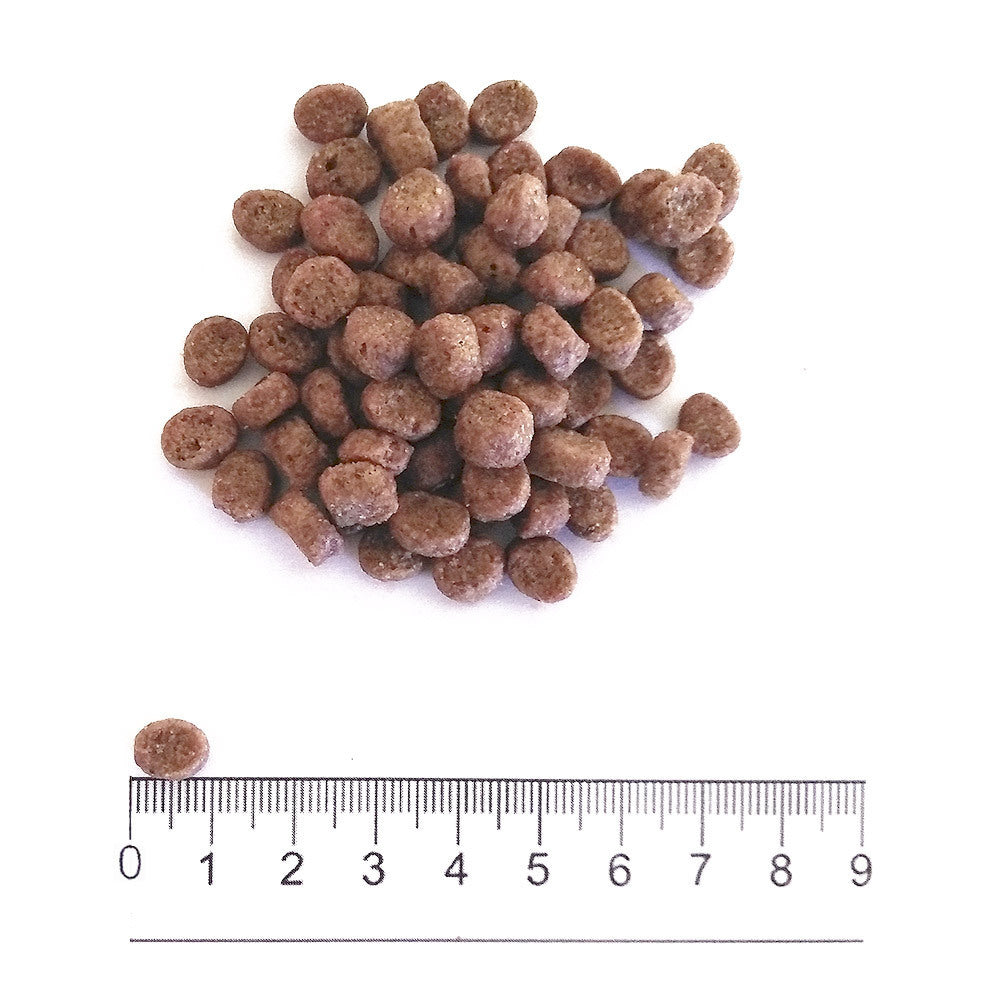 Prolife Dual Fresh - Crocchette per cani adulti di taglia piccola - Tacchino e Maiale freschi, riso - 600gr