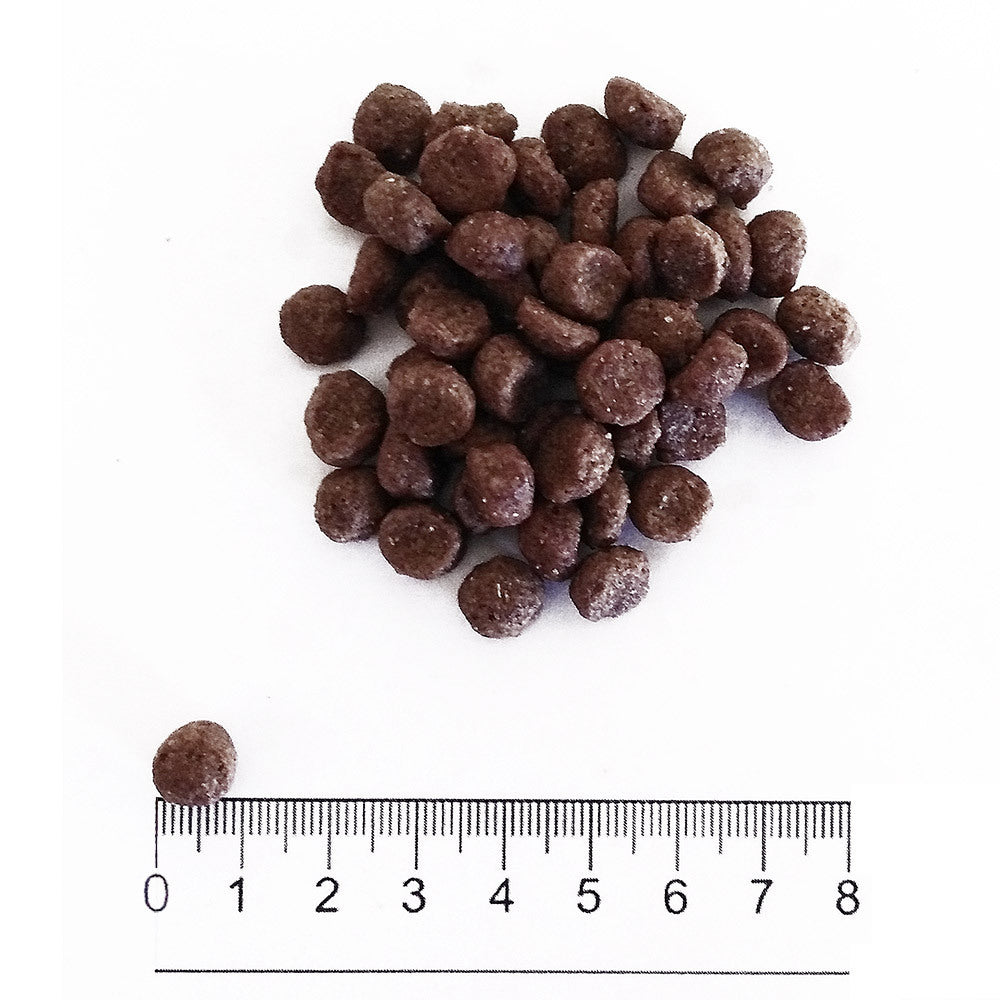 Prolife Dual Fresh - Crocchette per cani adulti di taglia piccola - Bufalo e Agnello freschi, riso - 2kg