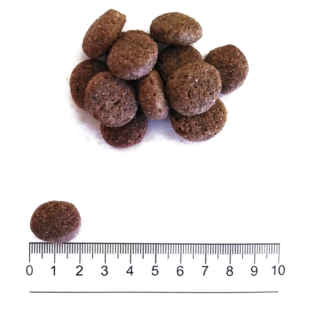 Prolife Smart Adult - Crocchette per cani adulti di taglia media e grande - Trota fresca e riso - 12kg