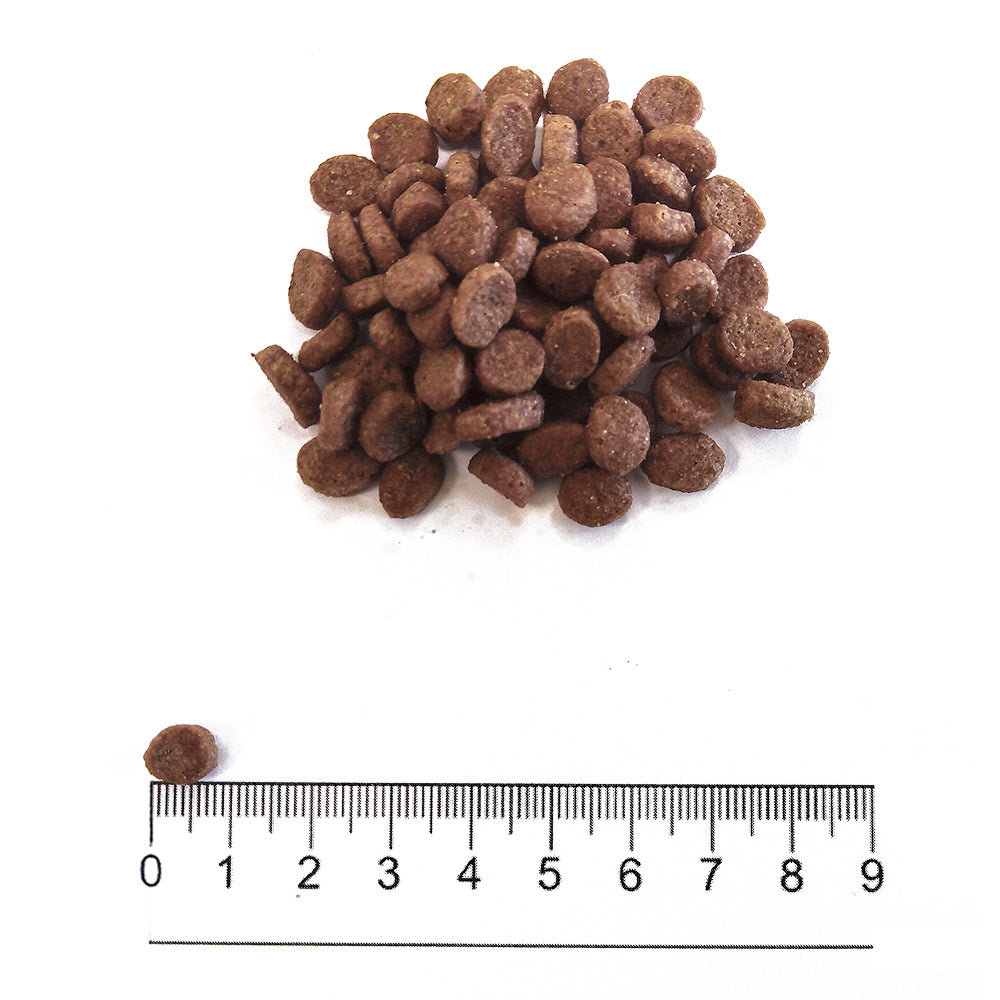 Prolife Sensitive Adult - Crocchette per cani adulti sensibili di taglia piccola - Maiale fresco e riso - 2kg