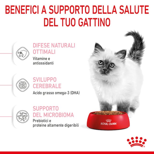 Royal Canin - Crocchette per gattini fino a 12 mesi - 400gr
