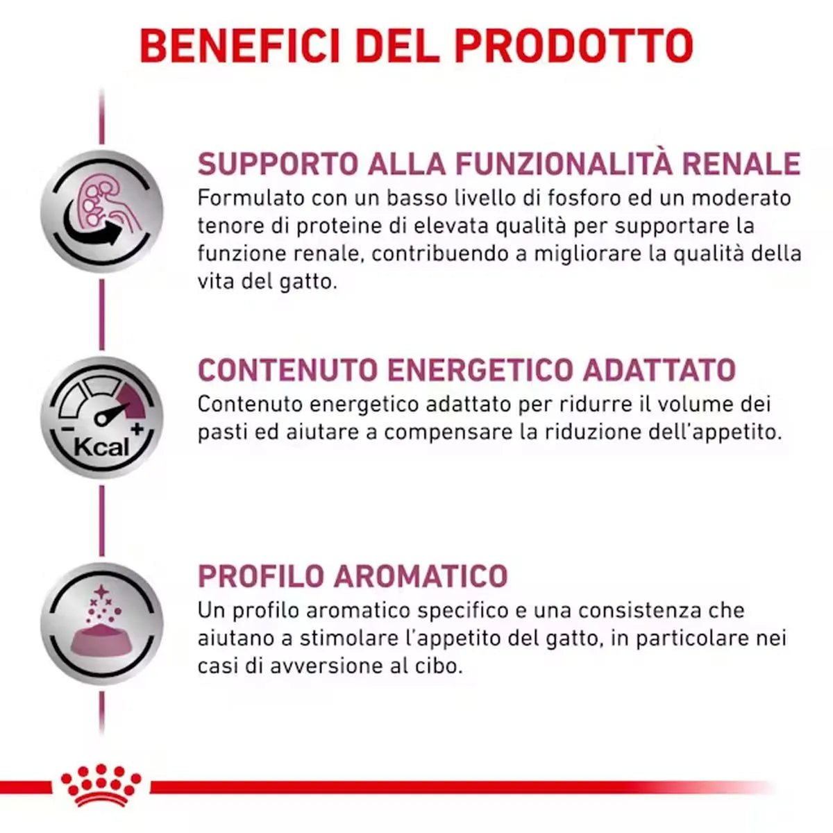 Royal Canin - Renal con pesce - Gatto adulto - 85gr