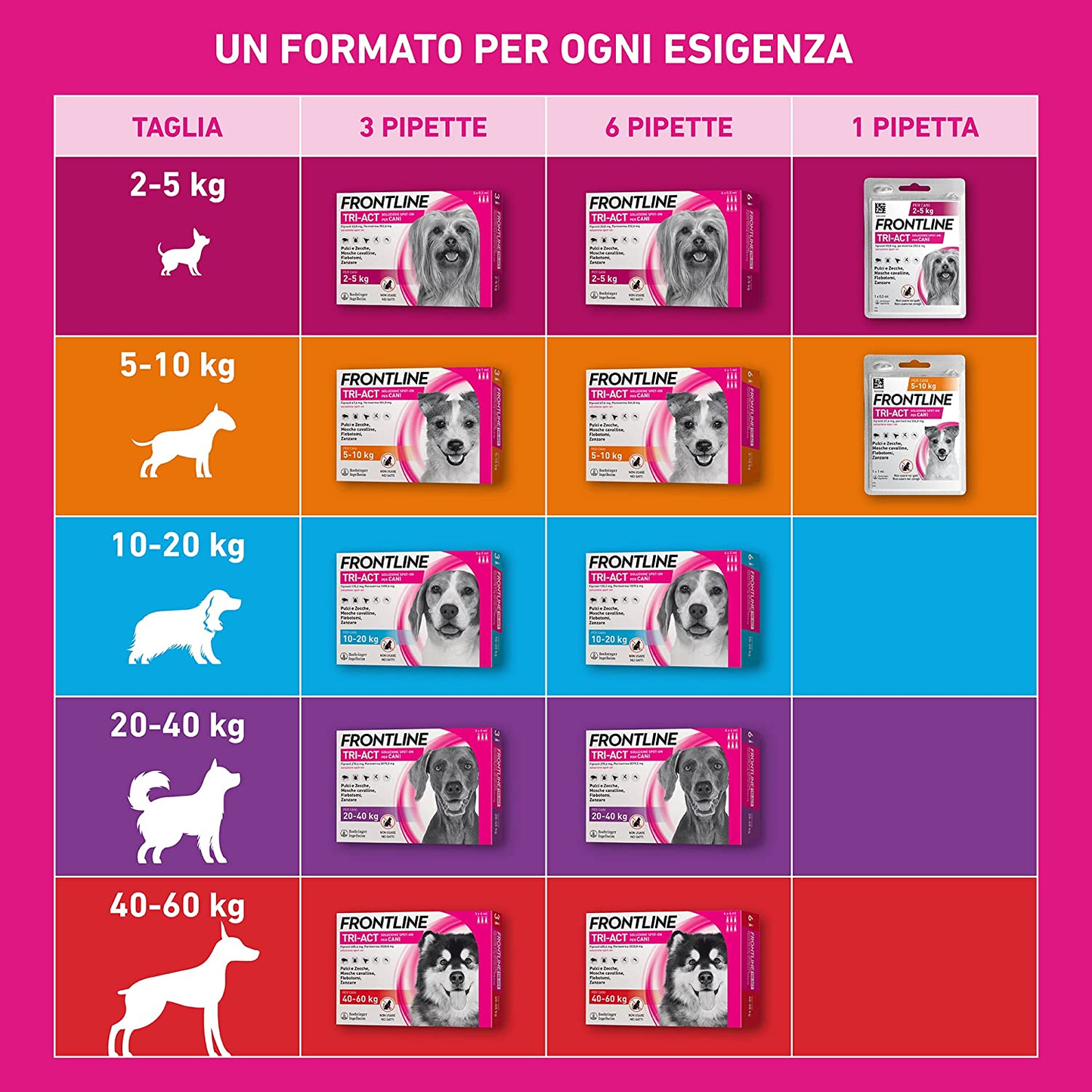 Frontline - Tri Act - Soluzione Spot-On per Cani - 10-20 kg - 3 pipette