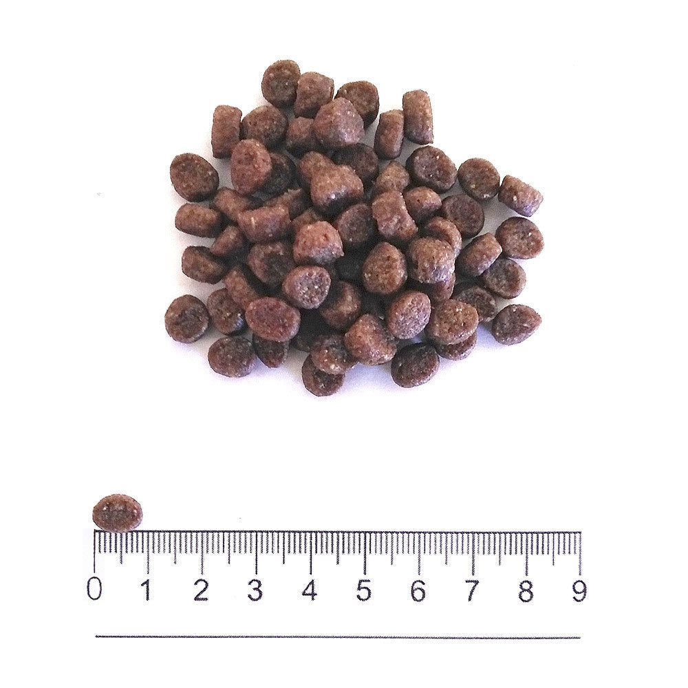 Prolife Dual Fresh - Crocchette per cani adulti di taglia piccola - Salmone e Merluzzo freschi, riso - 2kg