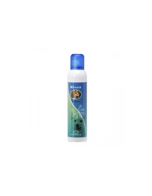 Ingenya - Shampoo a secco Dry Mousse - 250ml