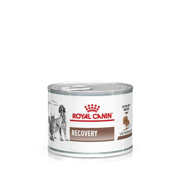 Royal Canin - Recovery - Cani e gatti - 195gr