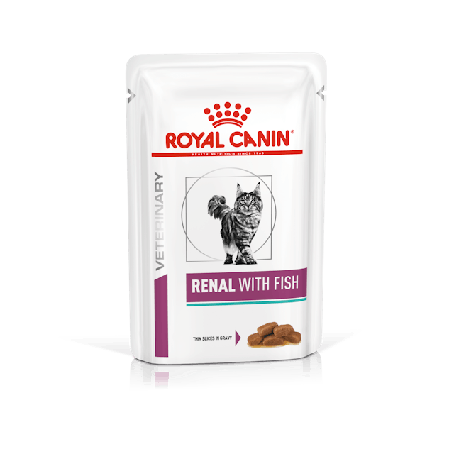 Royal Canin - Renal con pesce - Gatto adulto - 85gr