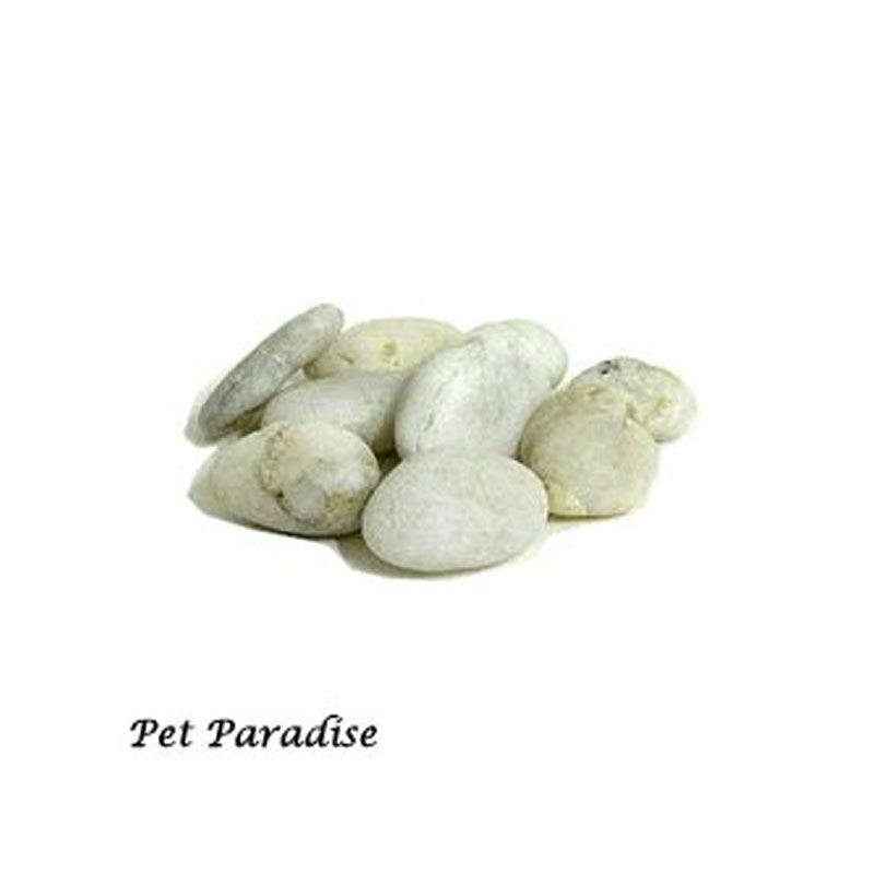 CIOTTOLI BIANCHI KG 5