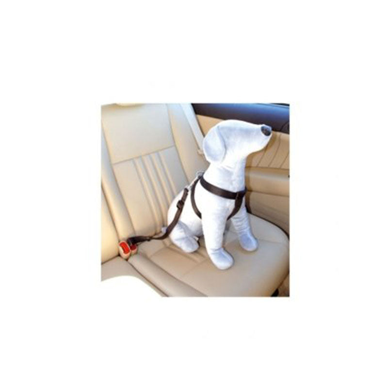 CINTURA DI SICUREZZA MEDIUM