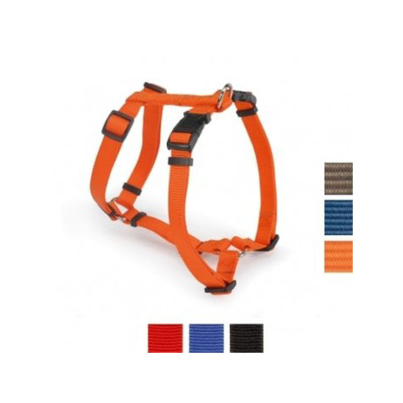 PETTORINA N.2 D.R. mm 15