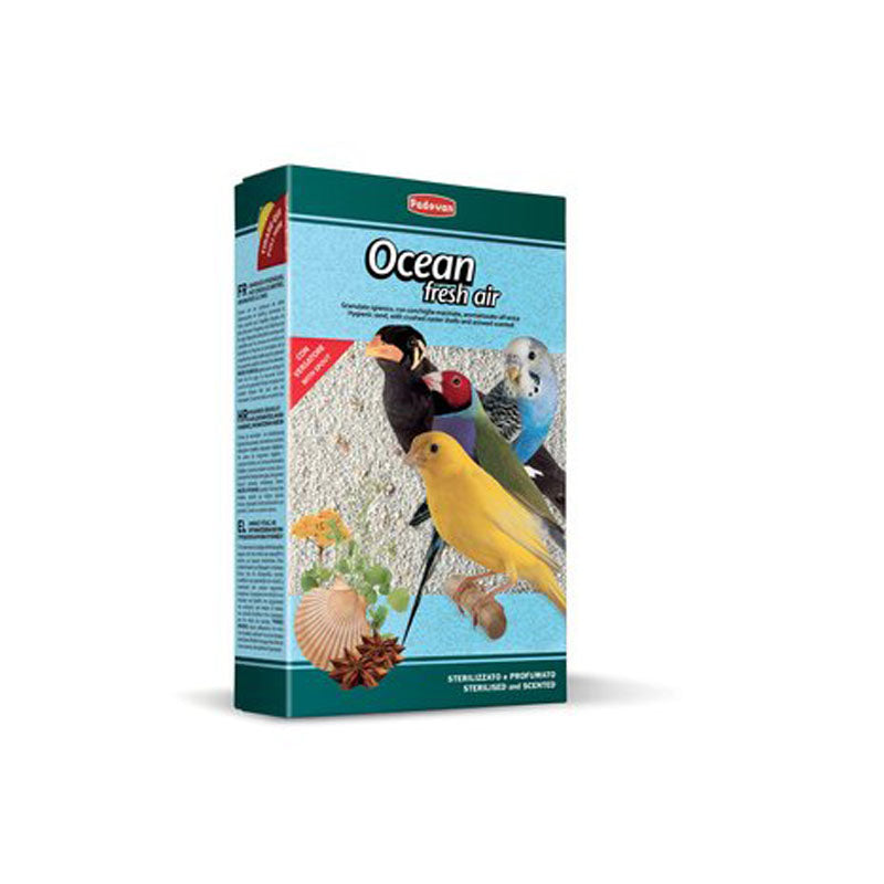 OCEAN fresh air 1 KG