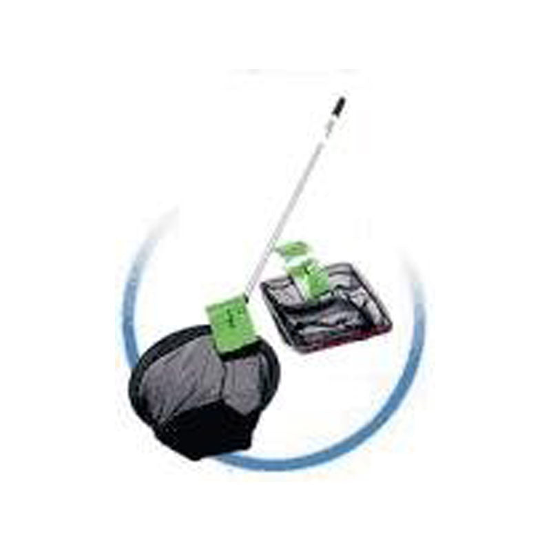 TETRAPOND RETINI ALGHE 3 MC