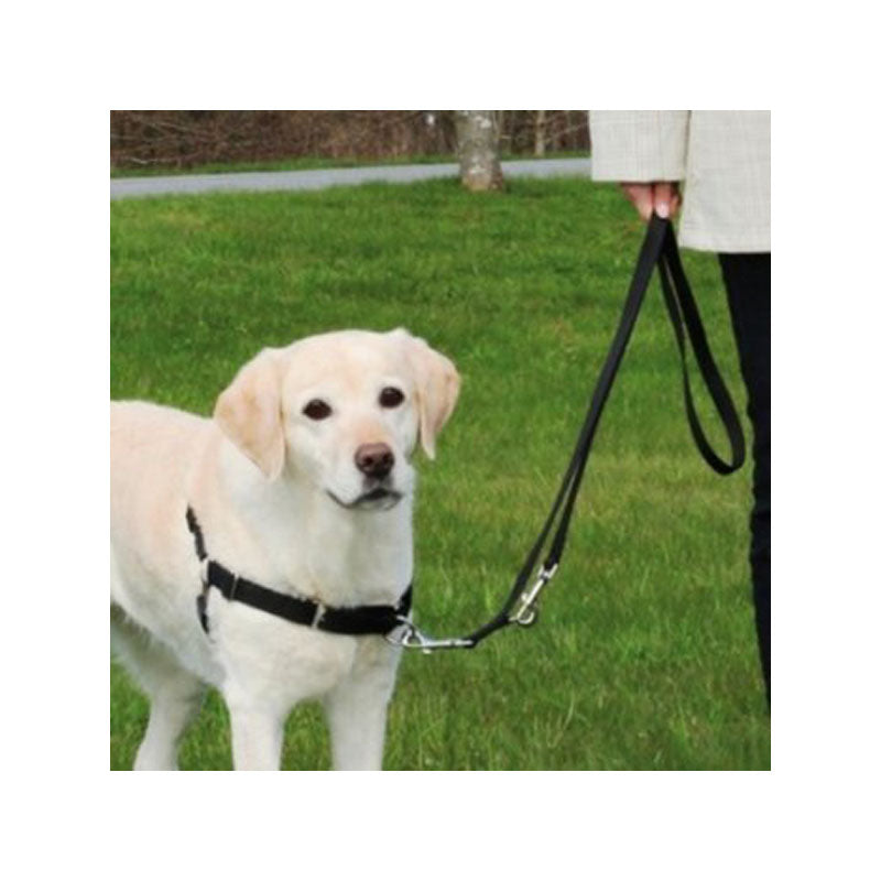 PETT.ADD.EASY WALK PROF. MIS L