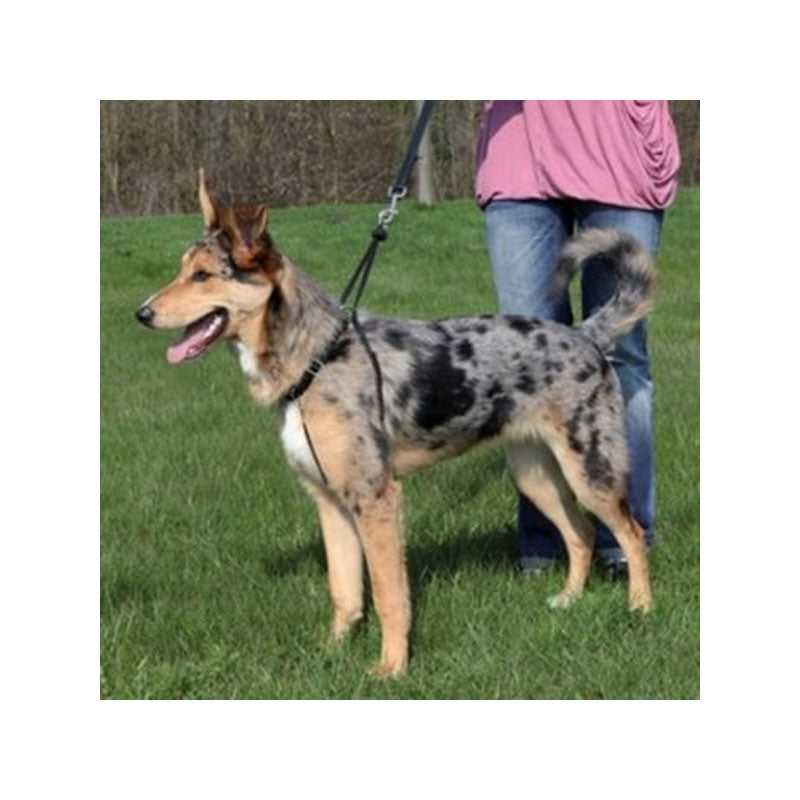 EASY WALK MIS.L, 40-60 cm