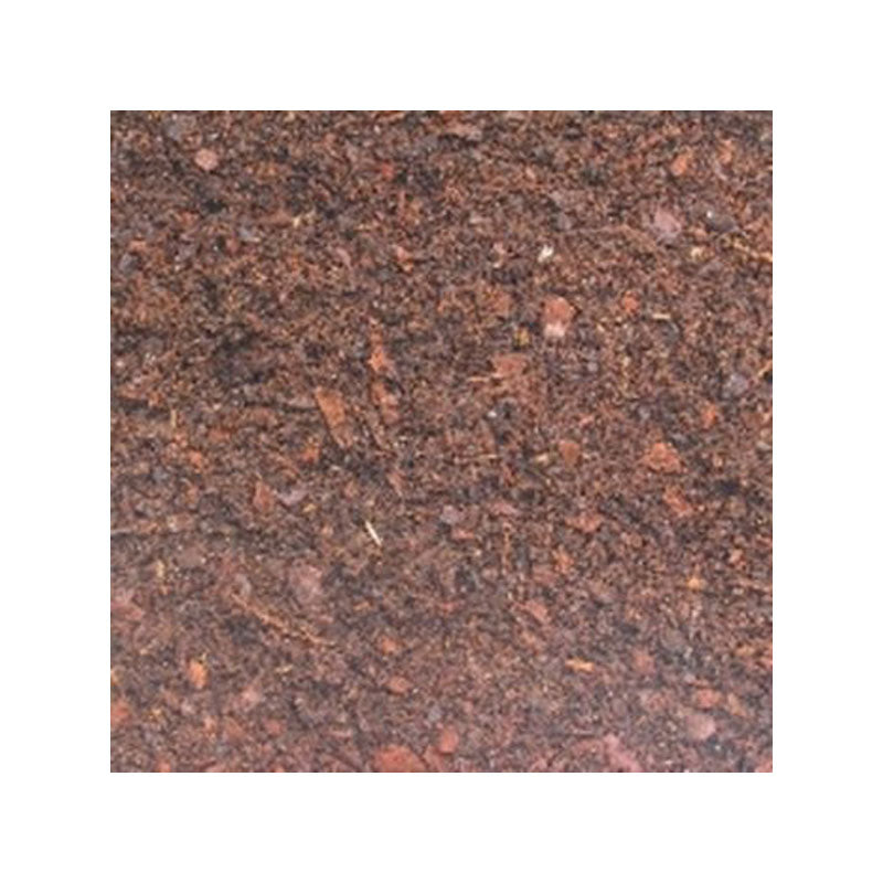 CORTECCIA PINO per terrari 20l