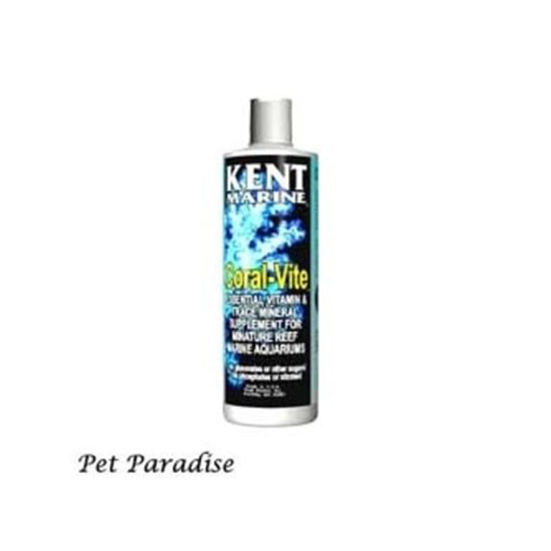KENT CORAL VITE 237 ML