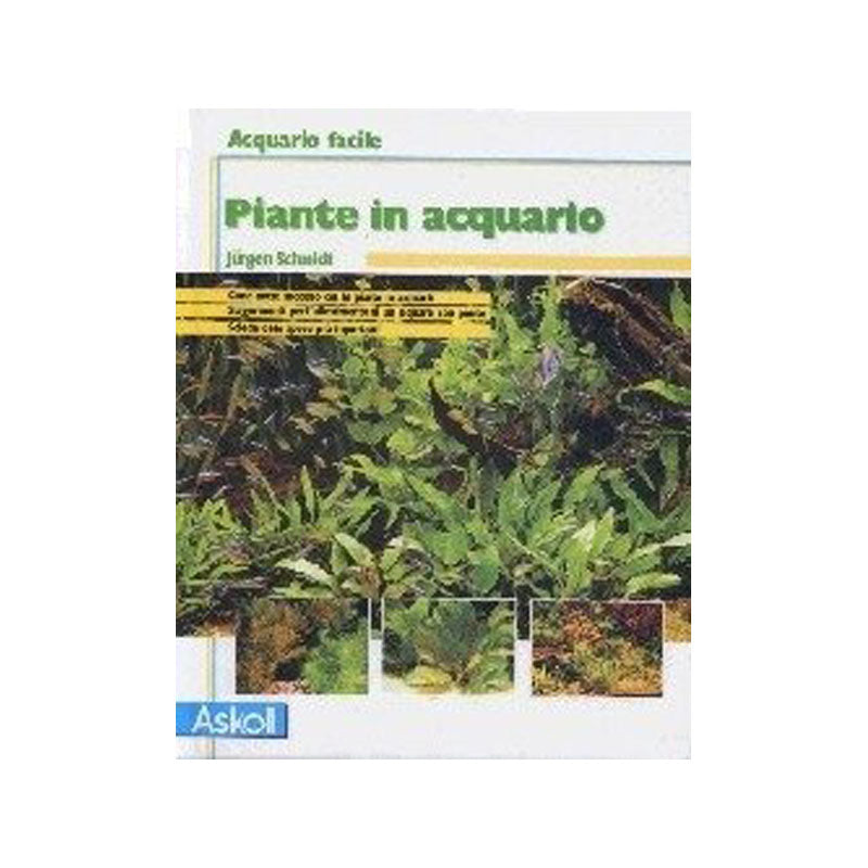 PIANTE IN ACQUARIO