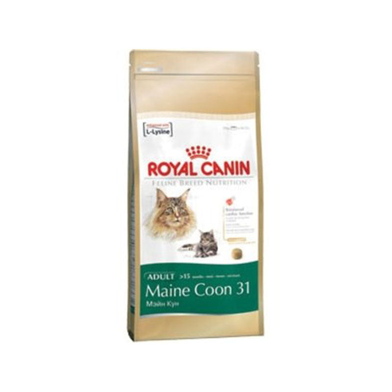 RC MAINE COON 31 10 KG.