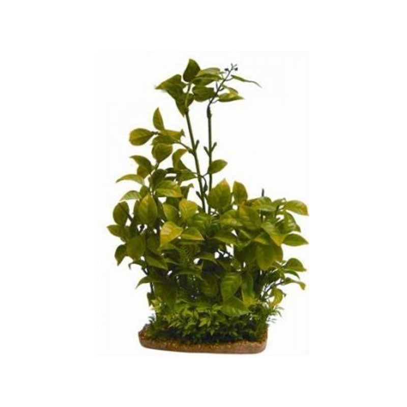 Haquoss PHYTOS 1 - 14x7x35h cm