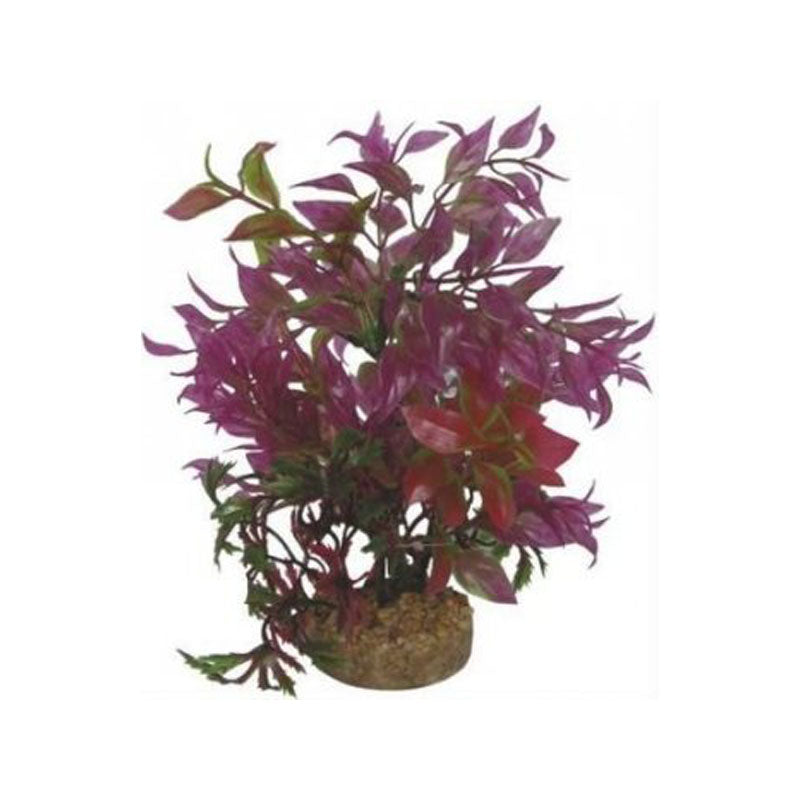 Haquoss PHYTOS 17 - 6x6x22h cm