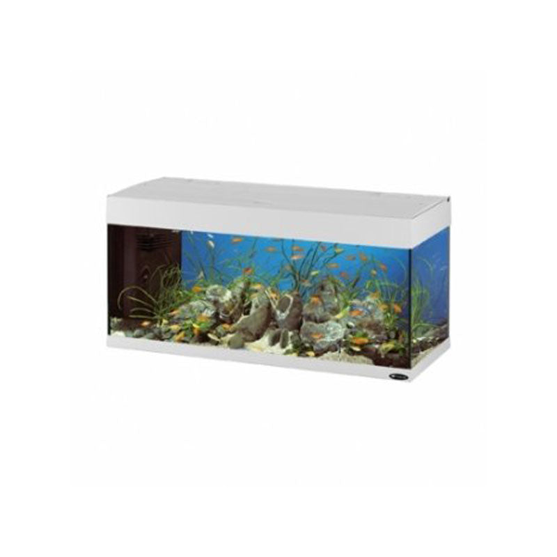 DUBAI 100 ACQUARIO BIANCO