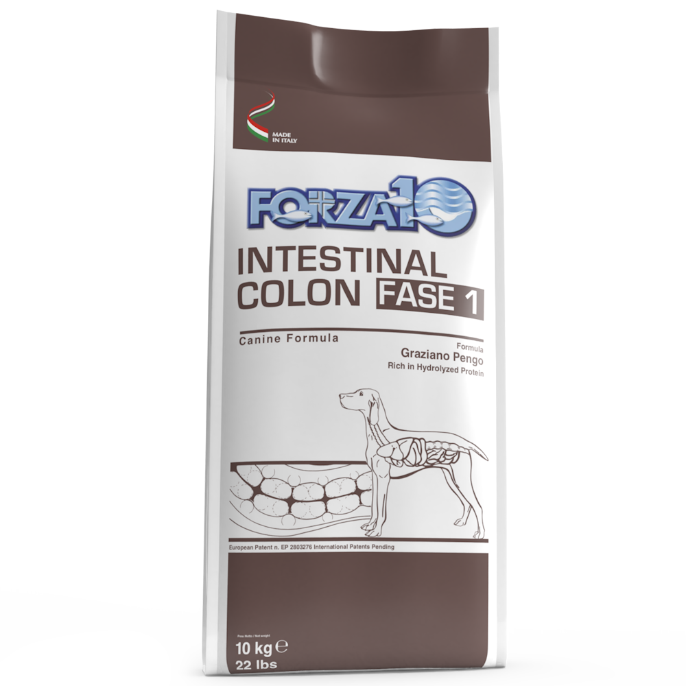 Forza10 Active Cane - Intestinal Colon Fase 1 - 10kg