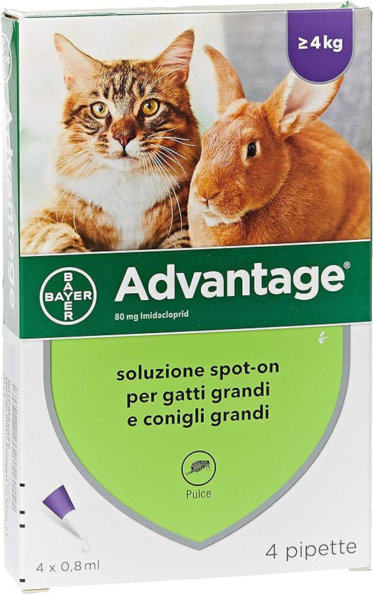 Advantage Spot-on 80 - Antiparassitario per gatti - 4 pipette