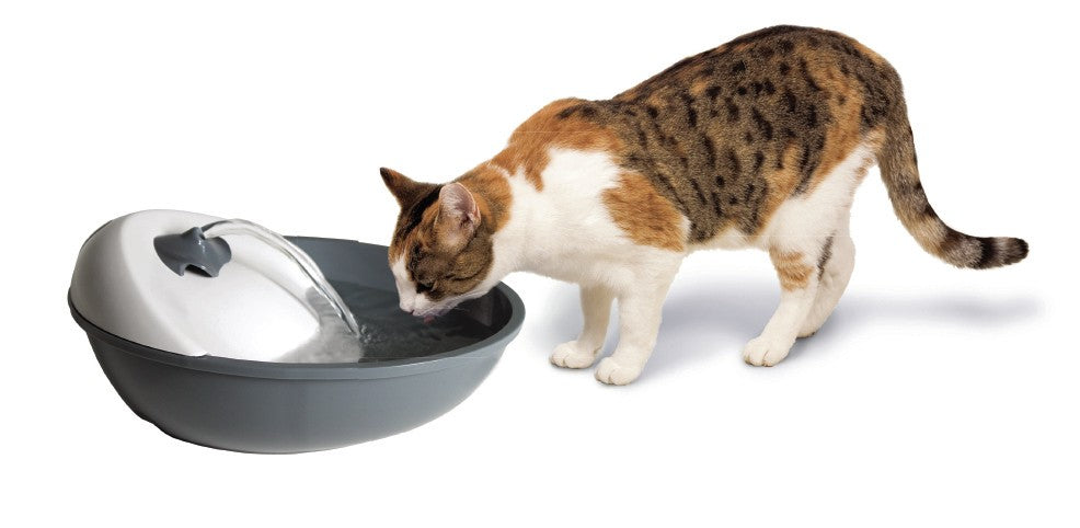 Fontanella automatica Plast-Drinking Fountain per cani e gatti