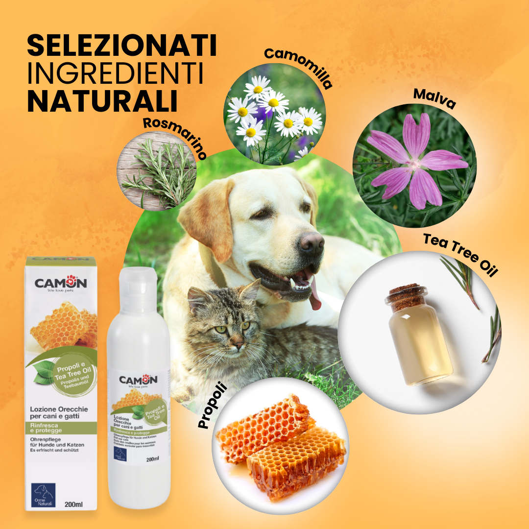 Camon Natural - Lozione orecchie - 200ml