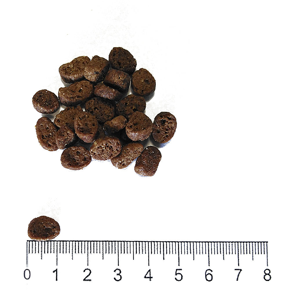 Prolife Dual Fresh - Crocchette per gatti adulti - Agnello e trota freschi, riso - 400gr