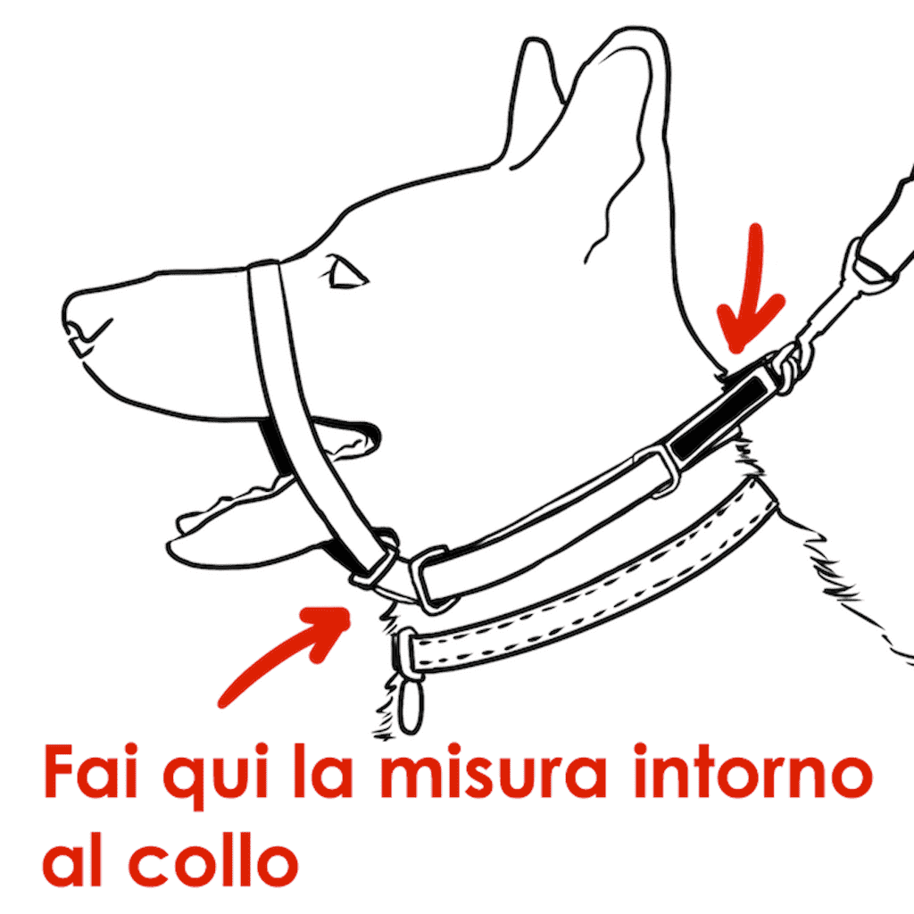 Canny Collar - Collare d'addestramento e passeggio - Misura 6 (48-53cm)