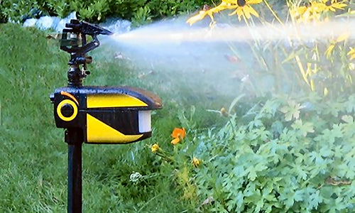Repellente ad acqua per cani, gatti, volatili - Irrigatore Scarecrow Motion Activated Sprinkler