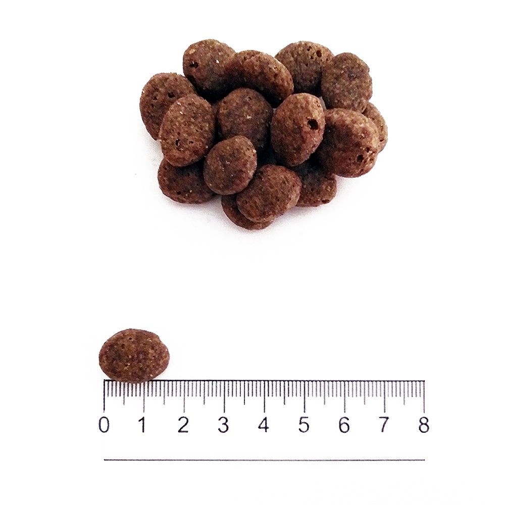 Prolife Grain Free Sensitive Adult - Crocchette per cani adulti sensibili di taglia media e grande - Salmone fresco e patate - 2,5kg