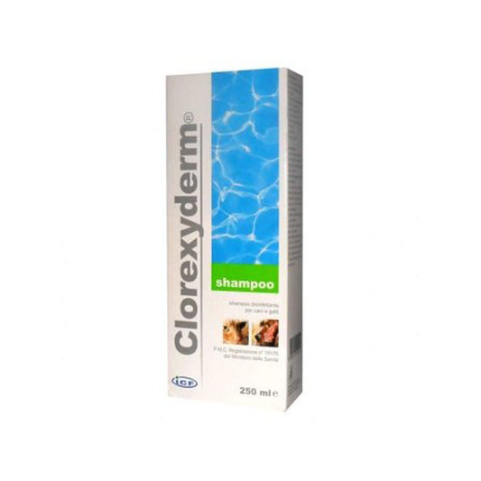 CLOREXIDERM SHAMPOO 250ML