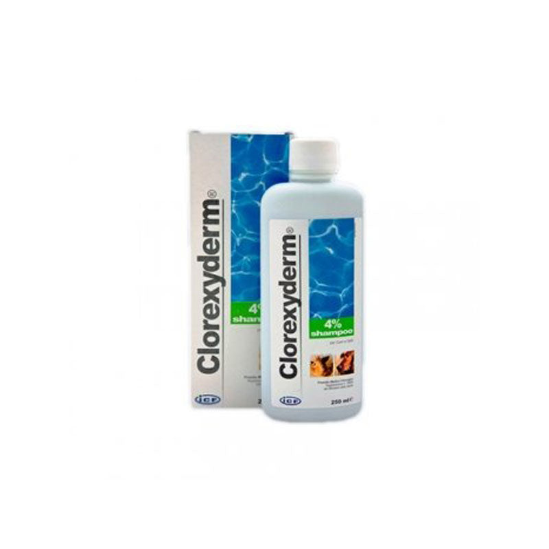 CLOREXYDERM SHAMPOO 4% 250 ML
