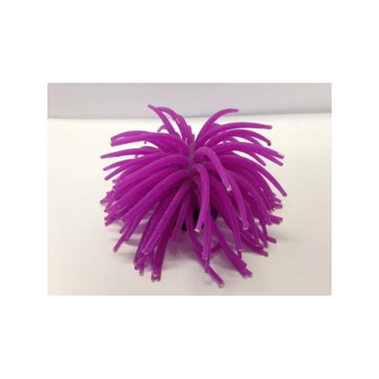 DECOR ANEMONE