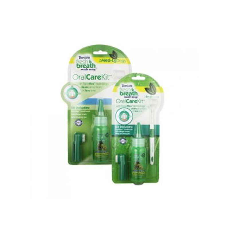 FRESH BR ORAL CARE KIT SMALL