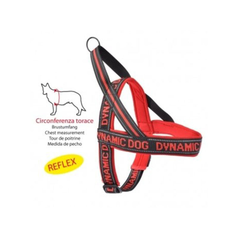 PETT.NEOPRENE-Dynamic-Ross-100